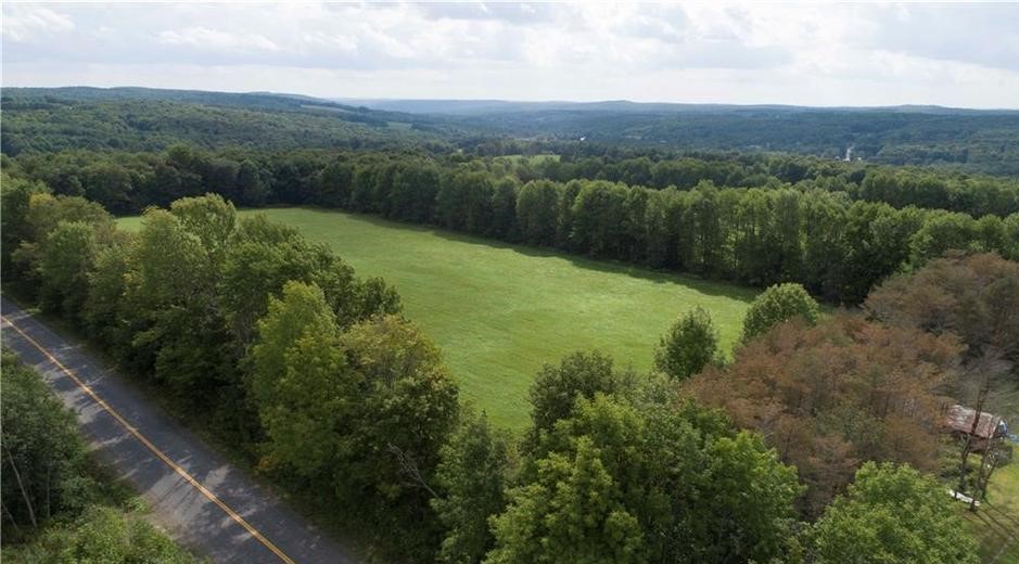 10 Beautiful Acres in Upstate New York near Airport Wholesale Invest Pro